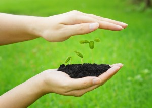 Fotolia_66761294_XXL