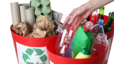 segregacja odpadów