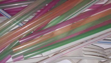 Zakaz sprzedaży słomek