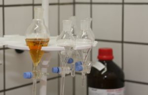 Genetycznie zmodyfikowane bliźniaczki