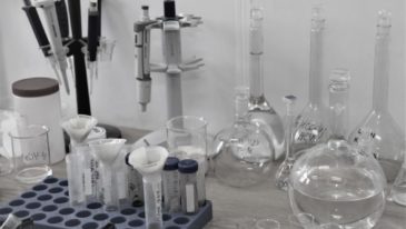 Genetycznie zmodyfikowane bliźniaczki