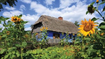 Muzeum Wsi Mazowieckiej w Sierpcu