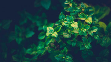 Jak zmniejszyć ilość zużywanej energii