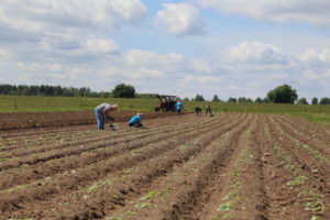 Pracownicy tymczasowi