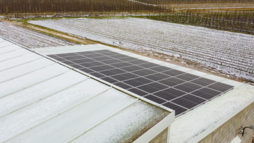 Maxcom Eco Energy
