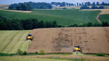 Dzierżawa gruntu pod farmę fotowoltaiczną