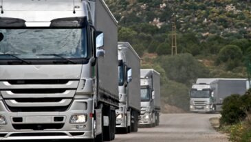 transport międzynarodowy