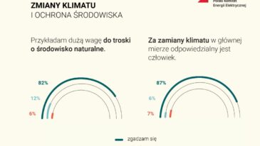 Polski Komitet Energii Elektrycznej