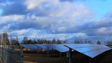 farma fotowoltaiczna k. Hajnówki