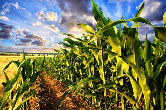 AgTech