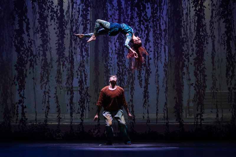 ALIZE Cirque de Soleil