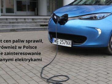 rynek używanych elektryków