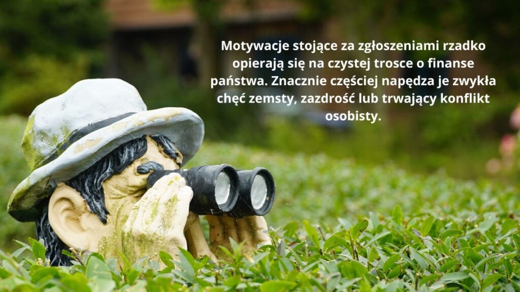 Donosy do urzędu skarbowego: Kto i dlaczego informuje fiskusa o naszych dochodach?