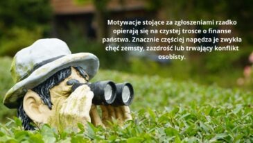 Donosy do urzędu skarbowego