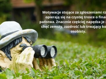 Donosy do urzędu skarbowego